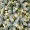 11ft. Pre-Lit Flocked Fir Pencil Artificial Christmas Tree, Warm White LED Lights